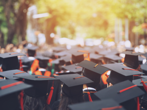 A large group of graduates are seen from the back, exposing only their graduation caps. Trees surround the top of the image where a ray of sunlight pokes through.